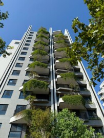 鉅虹映一彎綠待售房屋