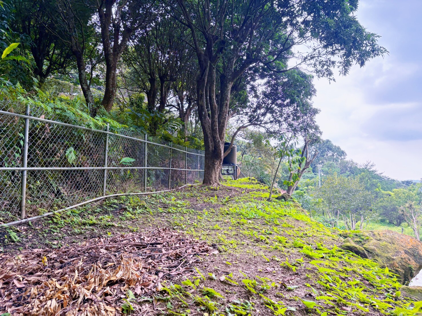 專任苗栗社區型有水有電景觀平坦美農地
