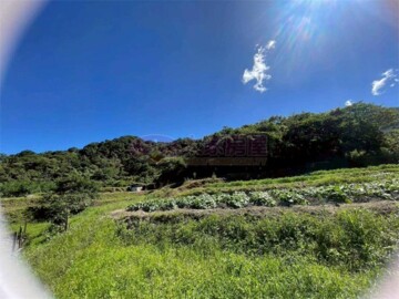 樂屋_金山區待售房屋 金山區待售房屋
