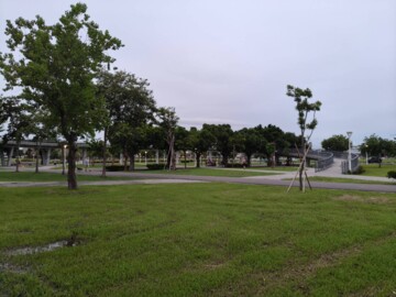 小港區待售房屋