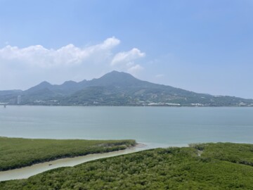 海帝C棟待售房屋