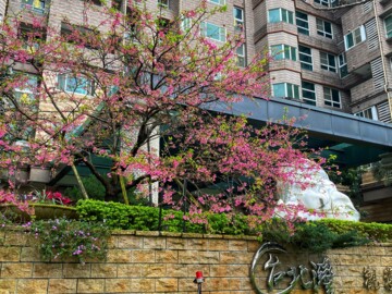 樂屋_台北灣2觀海/台北灣B區大樓區待售房屋 台北灣2觀海/台北灣B區大樓區待售房屋