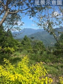 南庄鄉待售房屋