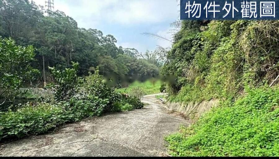 苗栗墨硯山步道旁山坡保育地