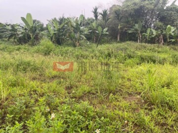 中埔鄉待售房屋