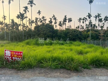 大雅路大面寬方正都計農地