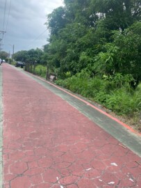 石榴工業區農地+建地