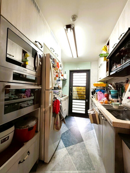 樂屋_嘉義市西區流星雨獅子座待售房屋 嘉義市西區流星雨獅子座待售房屋