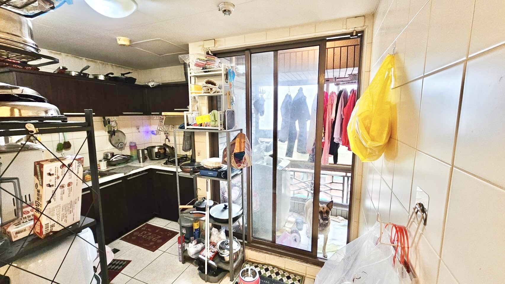 新北市板橋區巨蛋東京花園廣場待售房屋