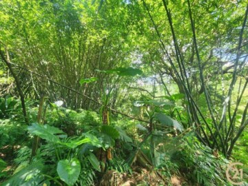 樂屋_龜山區待售房屋 龜山區待售房屋