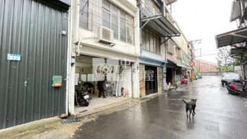 平鎮區待售房屋