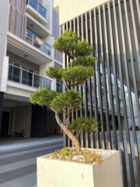 樂屋_五華苑待售房屋 五華苑待售房屋