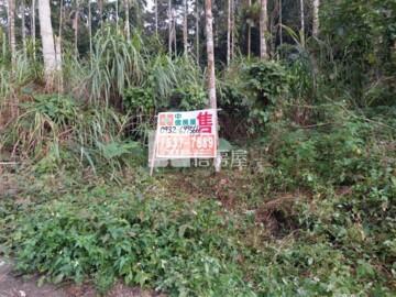 古坑鄉待售房屋