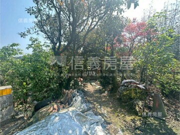 北投區待售房屋