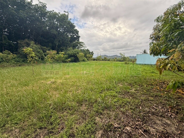 近2分大面寬角窗農地