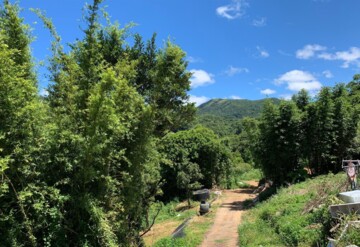 樂屋_士林區待售房屋 士林區待售房屋