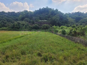 美濃區待售房屋