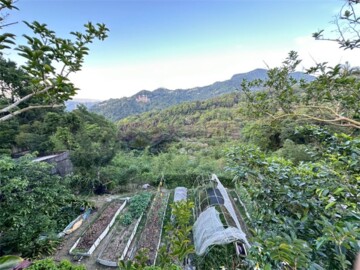 樂屋_文山區待售房屋 文山區待售房屋
