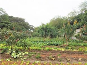 鶯歌區待售房屋