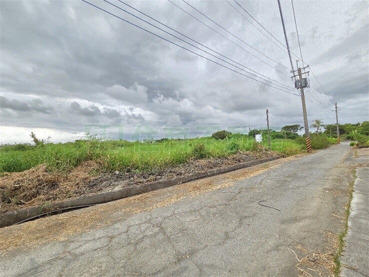 湖內3.96分方正美農地