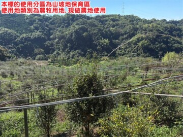 東勢區待售房屋