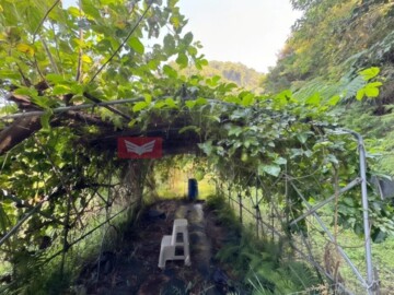 南庄鄉待售房屋