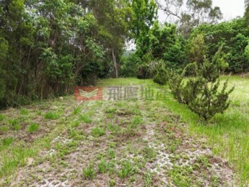 南庄鄉待售房屋