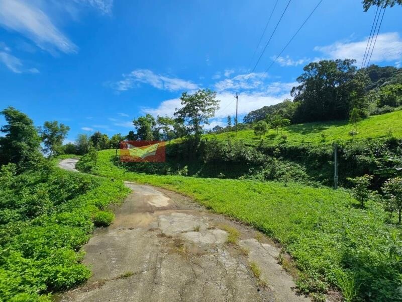 農地 獅潭貓頭鷹森林農 建 苗栗縣獅潭鄉獅潭段 樂屋網 土地買賣