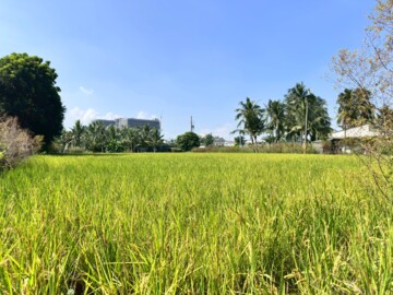 獨家~屏東市瑞光路工業地出租 - Image 1