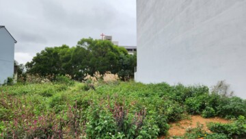 樂屋_中壢區待售房屋 中壢區待售房屋