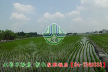 樂屋_秀水鄉待售房屋 秀水鄉待售房屋