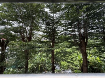 心中市待售房屋