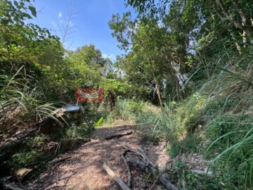 南庄鄉待售房屋