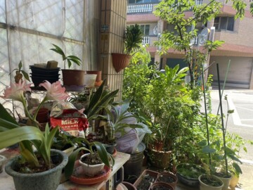 台北新都待售房屋