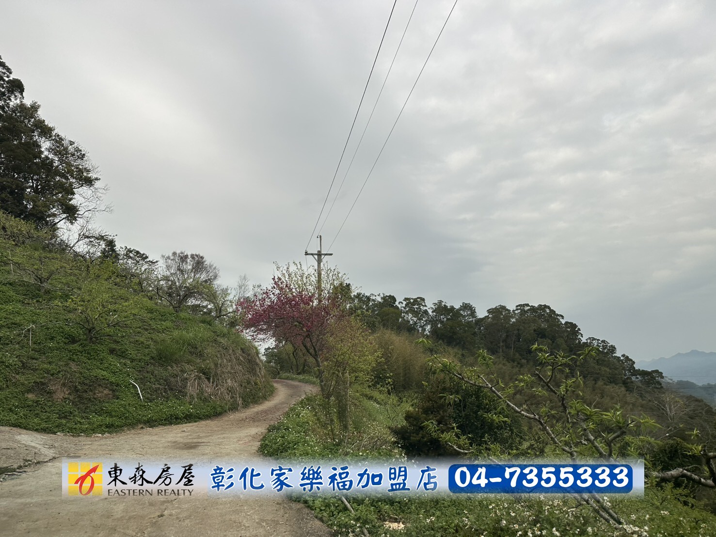 專任⭐️*苗栗銅鑼鄉景觀美山坡地*❤️