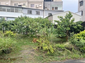 嘉義縣民雄鄉東榮段 - Image 1