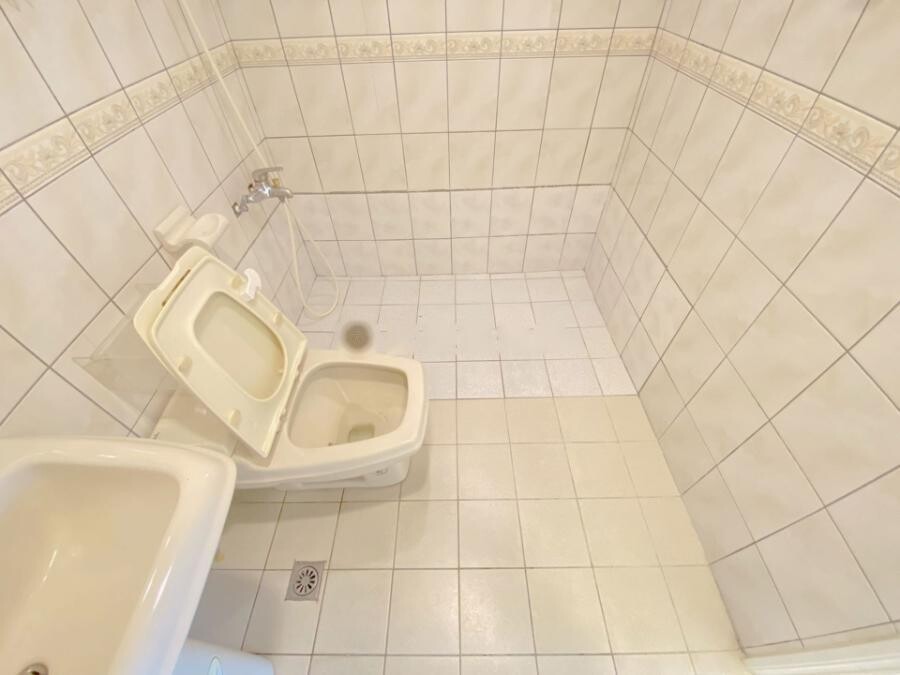 彰化縣彰化市獅子王待售房屋