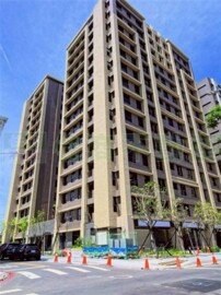 新市通合嘉素晴待售房屋