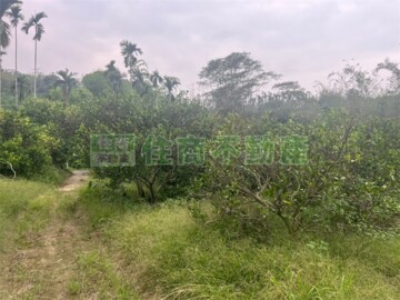 白河區待售房屋