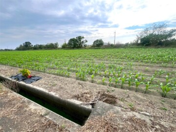 鹽水區待售房屋