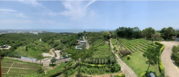 桃園市蘆竹區大古路 - Image 1