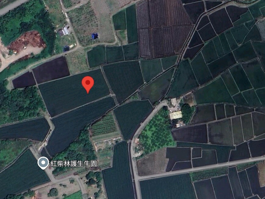 三星貴林段老農夫的地(1)