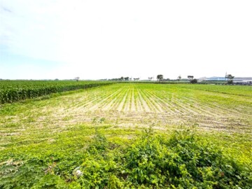 鹽水區待售房屋