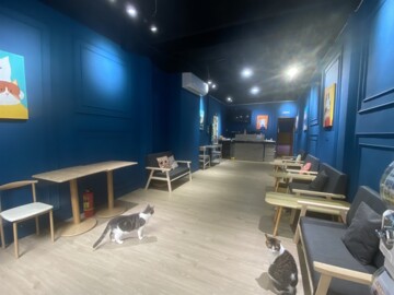 樂屋_麗緻逢甲待售房屋 麗緻逢甲待售房屋
