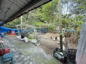 龍潭-大面寬 建地 
