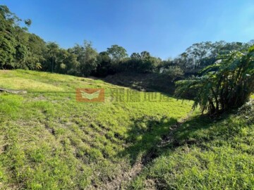 頭屋墨硯山水塘池