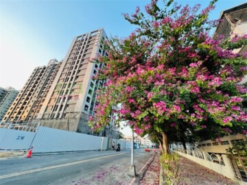 艾美綠河(地上權)待售房屋