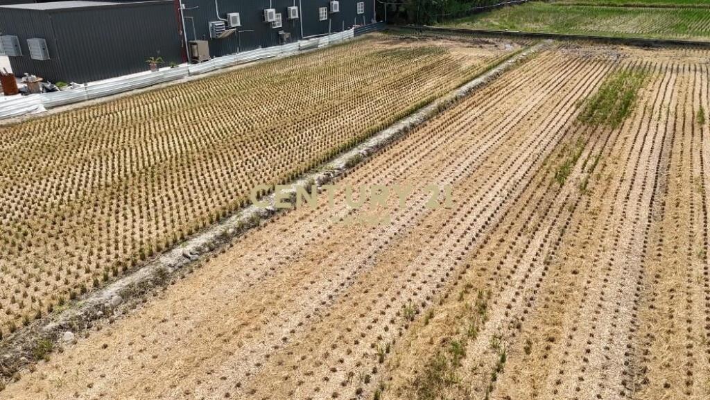 草屯土地-草屯交流道235坪小農地