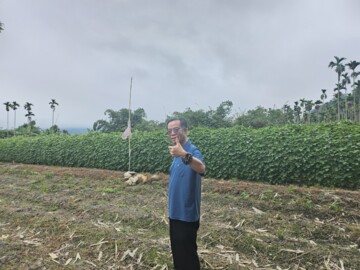 鹿谷鄉待售房屋