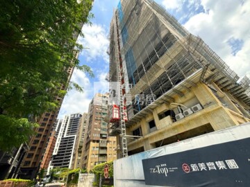 新美齊The Top待售房屋